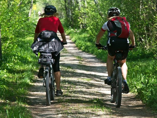 vtt